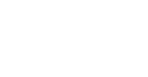 ECHO AI Romania Bridge
